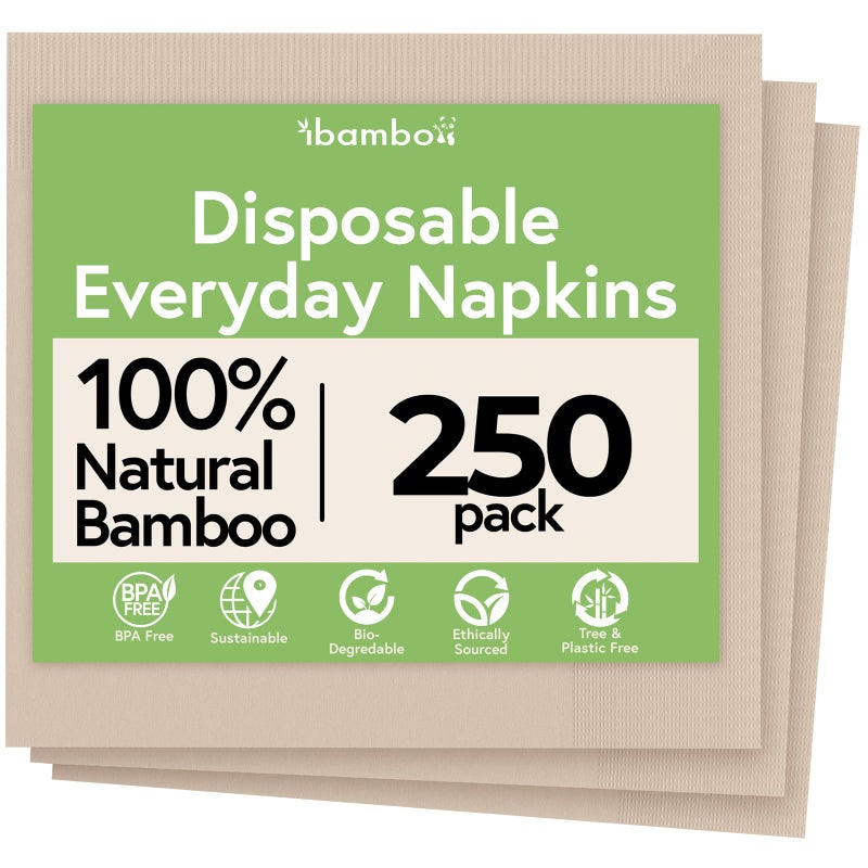 Ibambo Everyday 100 Bamboo Compostable Napkins Disposable 250Pack Table Napkins Disposable for Lunch Dinner Events Entertaining 2Ply FSC Certified Compostable Paper Towels 65 x 65Inch
